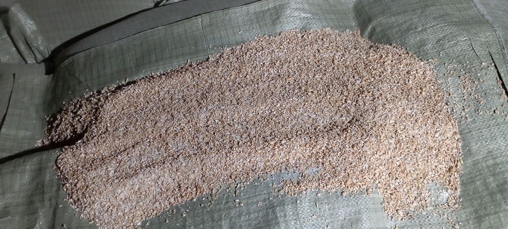Плющеная пшеница