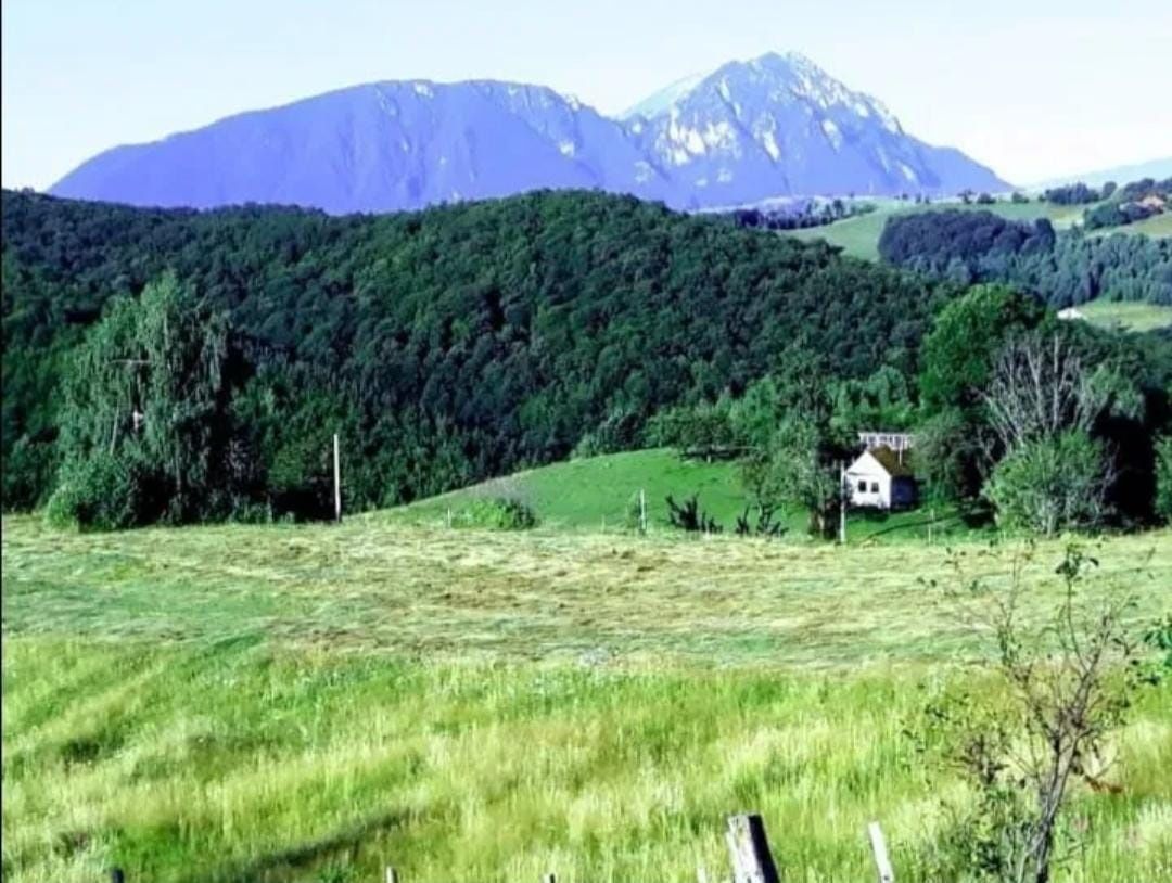 Teren Poiana Mărului Brașov