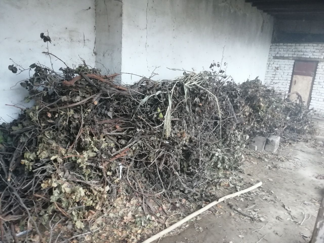 Продаю дрова для шашлыка и тандыра Утн сотилади, продаются дрова мева