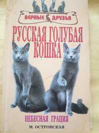 Кошка Русская голубая. Всё об грациозной темпераментой породе кошек.