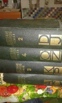 Dictionar enciclopedic roman 4 volume