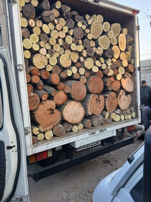 Oʻtin tut qurigan bi isuzi