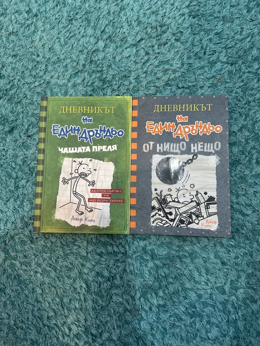 Книги Дневникът на един дръндюьо