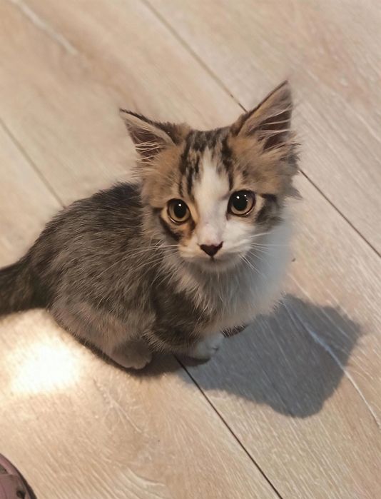 Подарявам бебе Рая