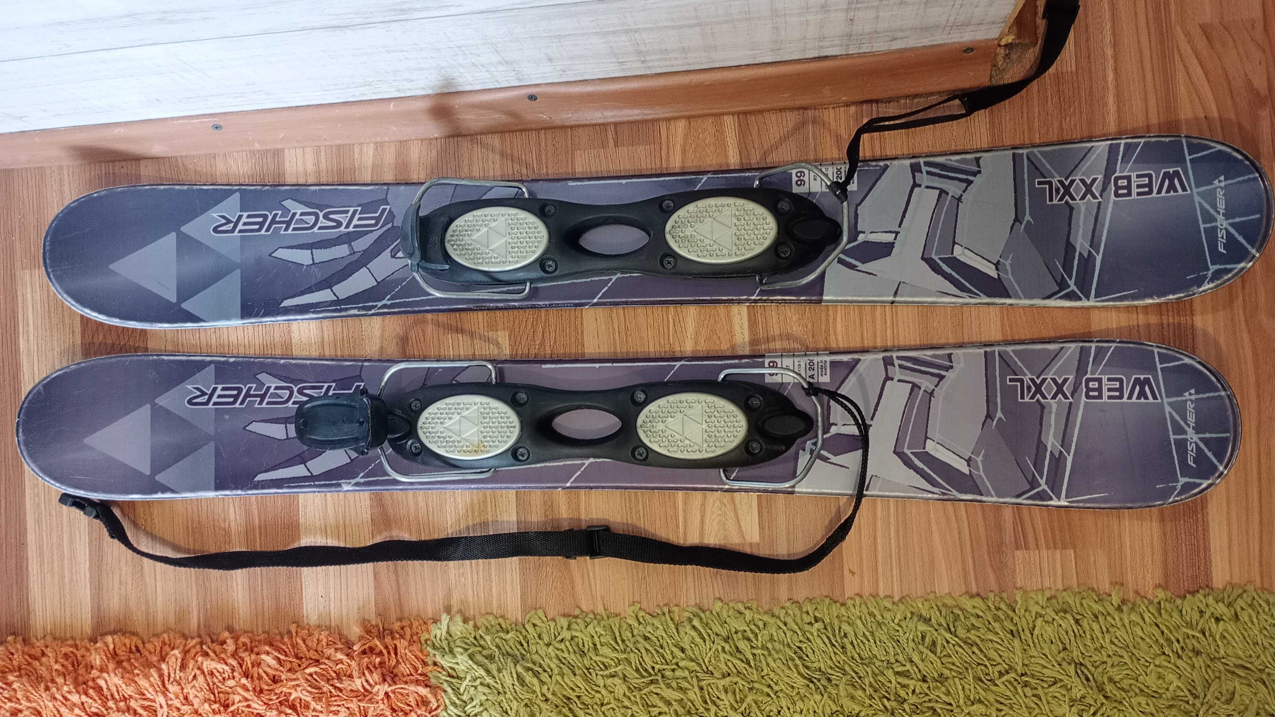Ski Fischer WEB XXL