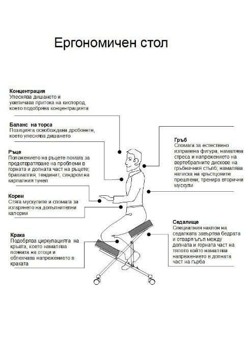 Ергономичен стол