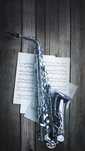 Cursuri saxofon și clarinet