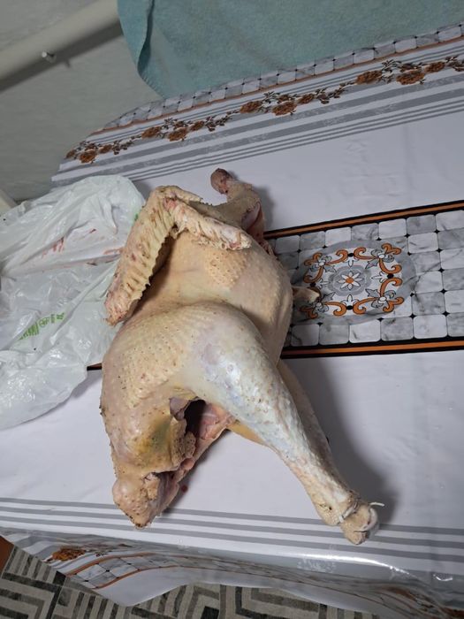 Продам мясо индюка хайвер