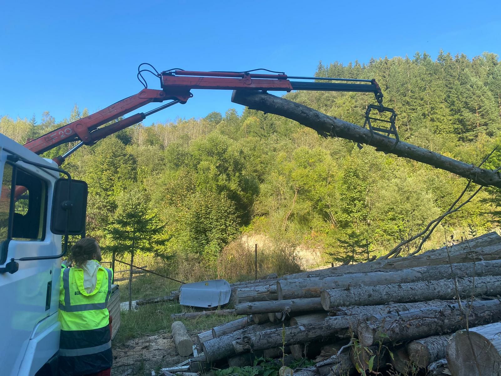 Excavator și camioneta cu macara de inchiriat