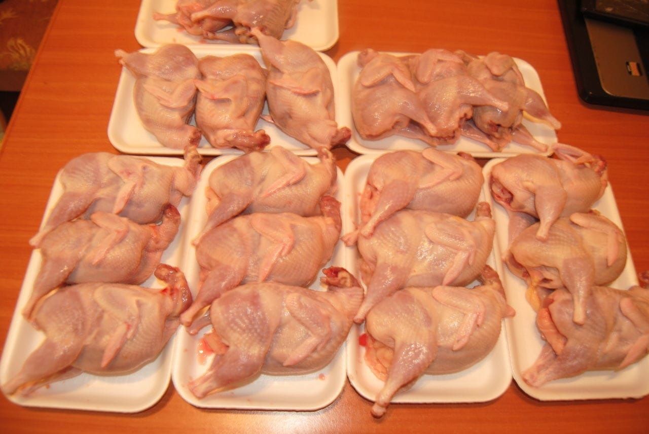 Мясо перепелок молодое