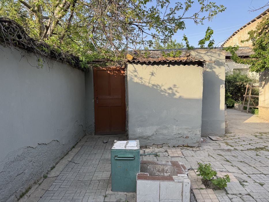 Sibirki kuchasidan xovli sotilyapti