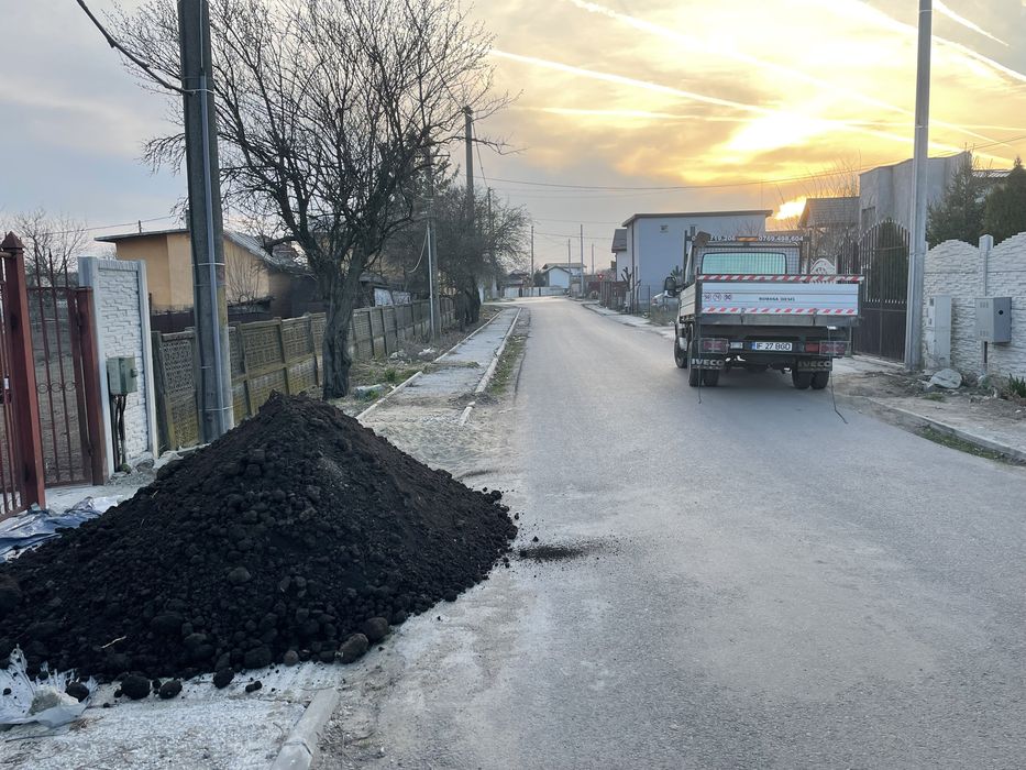 Pamant negru padure vegetal