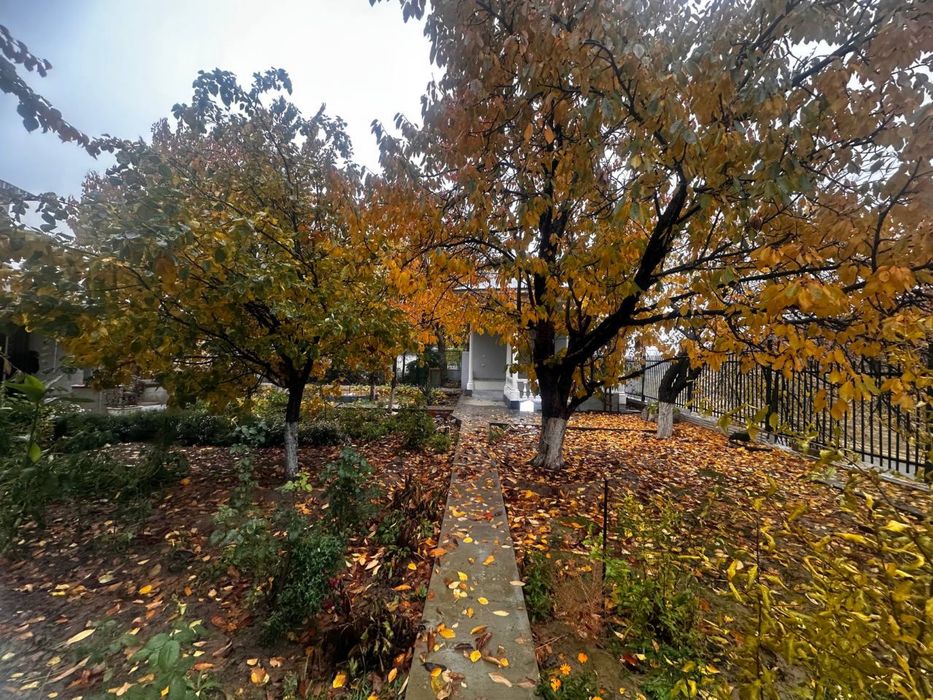 Дачный участок в Чирчике