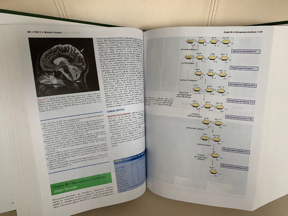 Kliegman - Nelson's Textbook of Pediatrics, ed 18, NOU, pediatrie