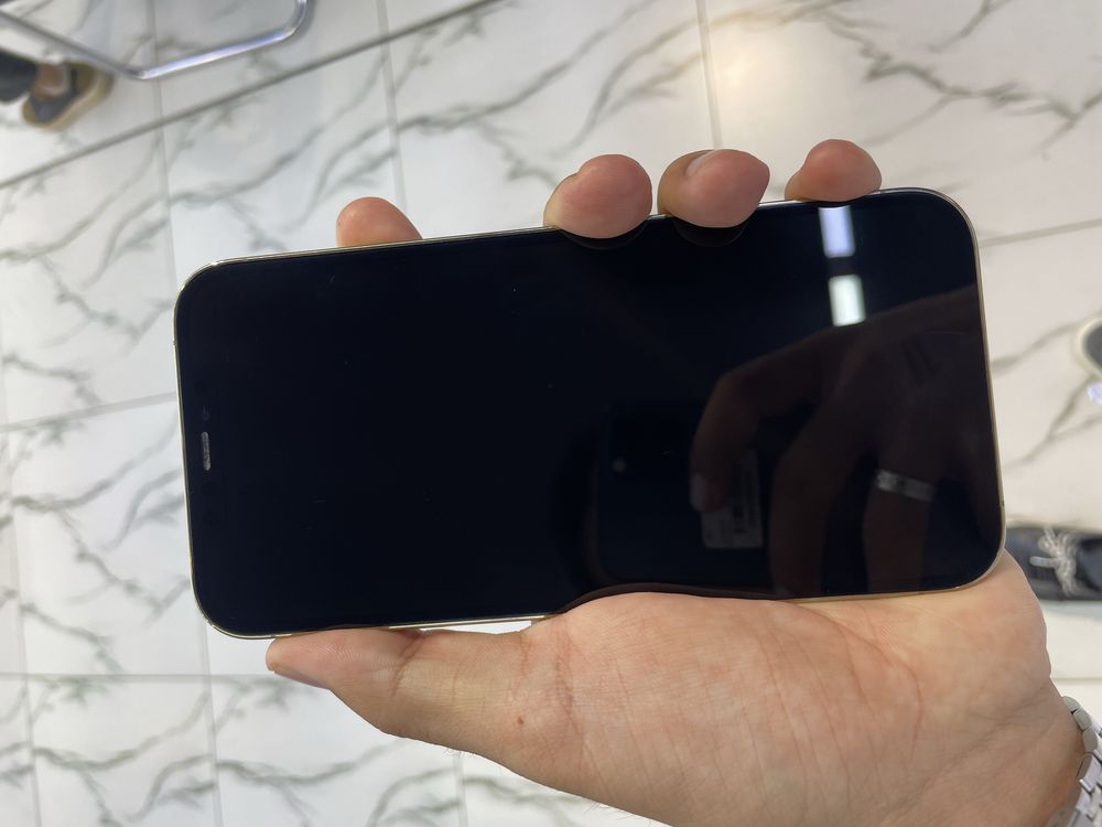 iPhone 12 Pro Max
