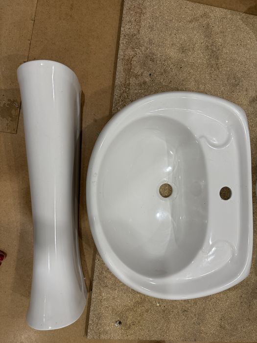 Раковина тюльпан