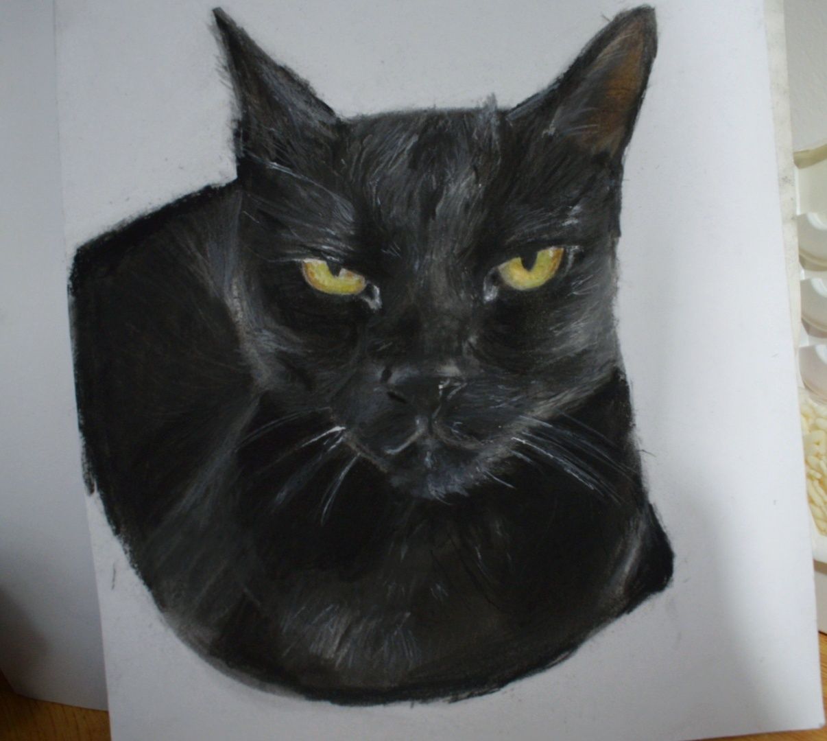 Caricaturi / Portrete oameni / animale companie la comanda