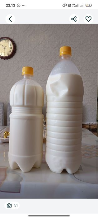 Продам домашнее молоко