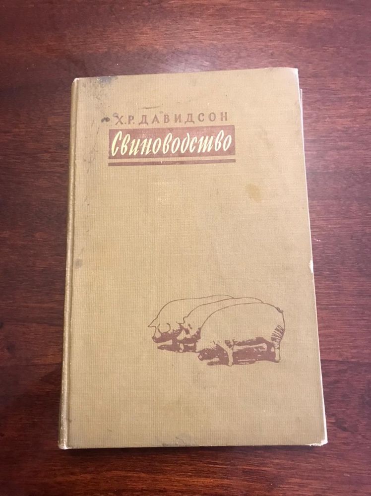 Свиноводство свинина СССР советский ретро