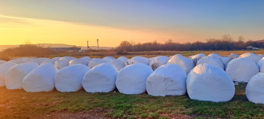 Vând baloți de fân și lucernă
