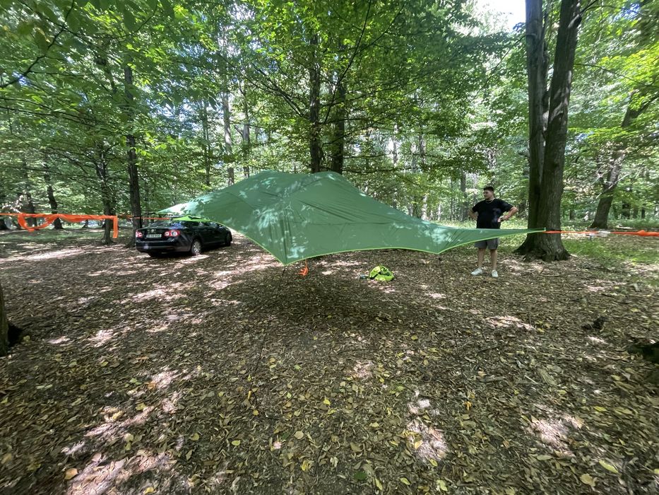 Cort Tentsile connect 2 (3.0)