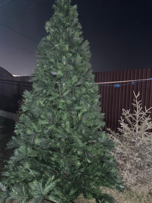 срочно продам елку