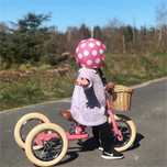 Trybike триколка + колело баланс