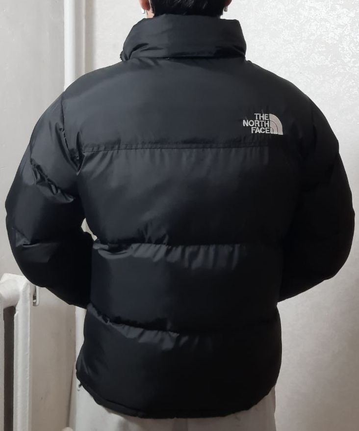 Срочно весеняя куртка TNF