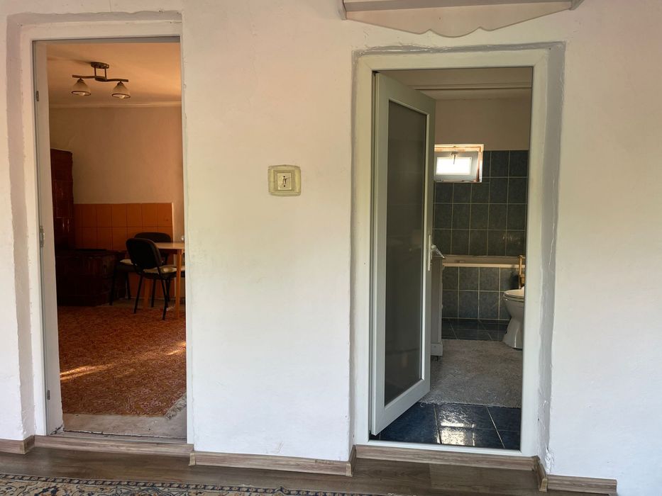 Vand casa Bailesti