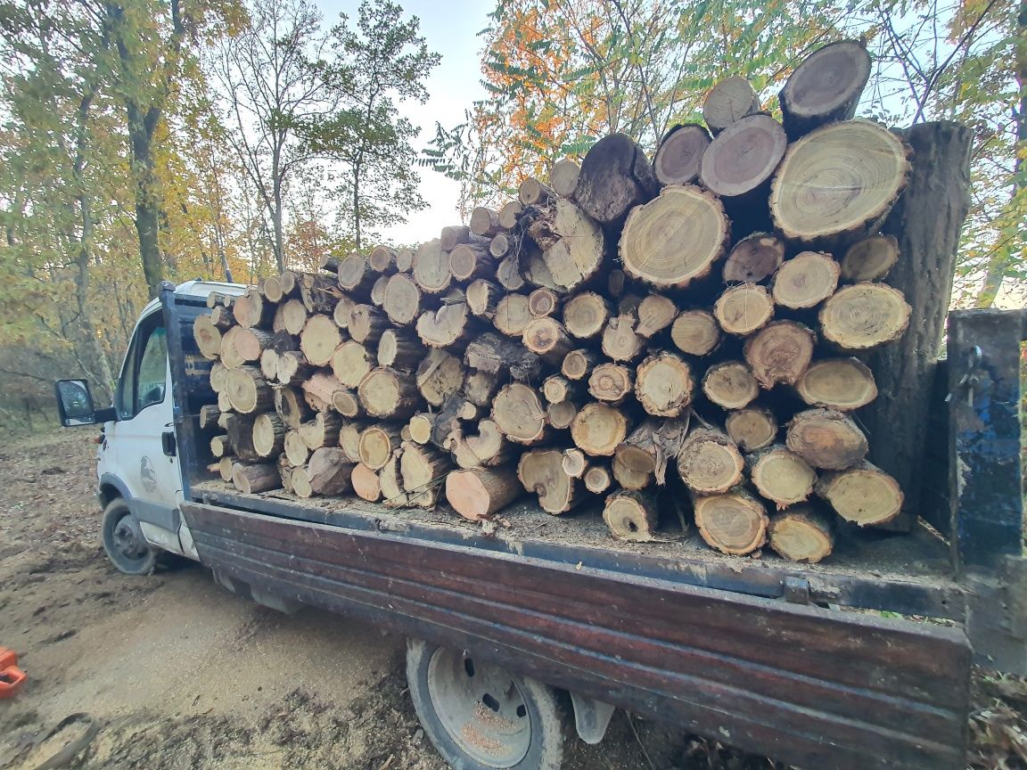 Lemne de foc esență tare