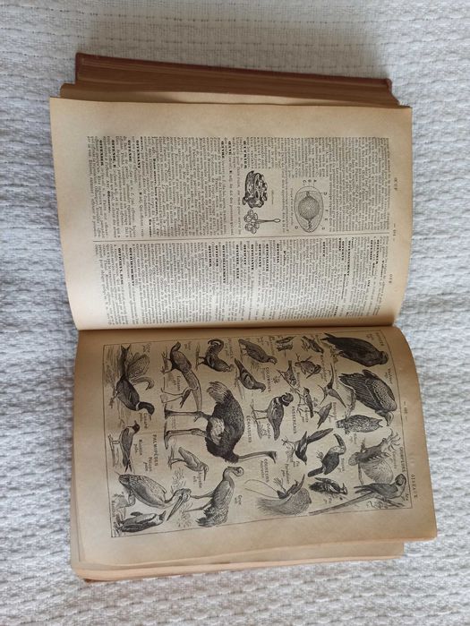 Енциклопедия PETIT LAROUSSE ILLUSTRE, Лимитирано издание, 1906 година