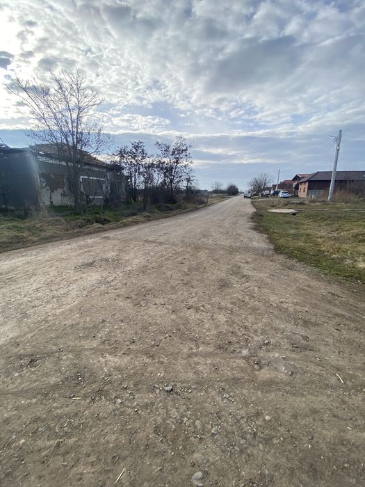 Vand teren extravilan in Tisa noua