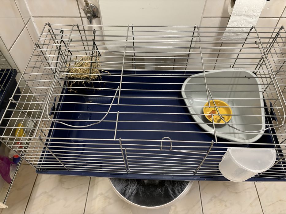 Cusca iepuras/rozatoare