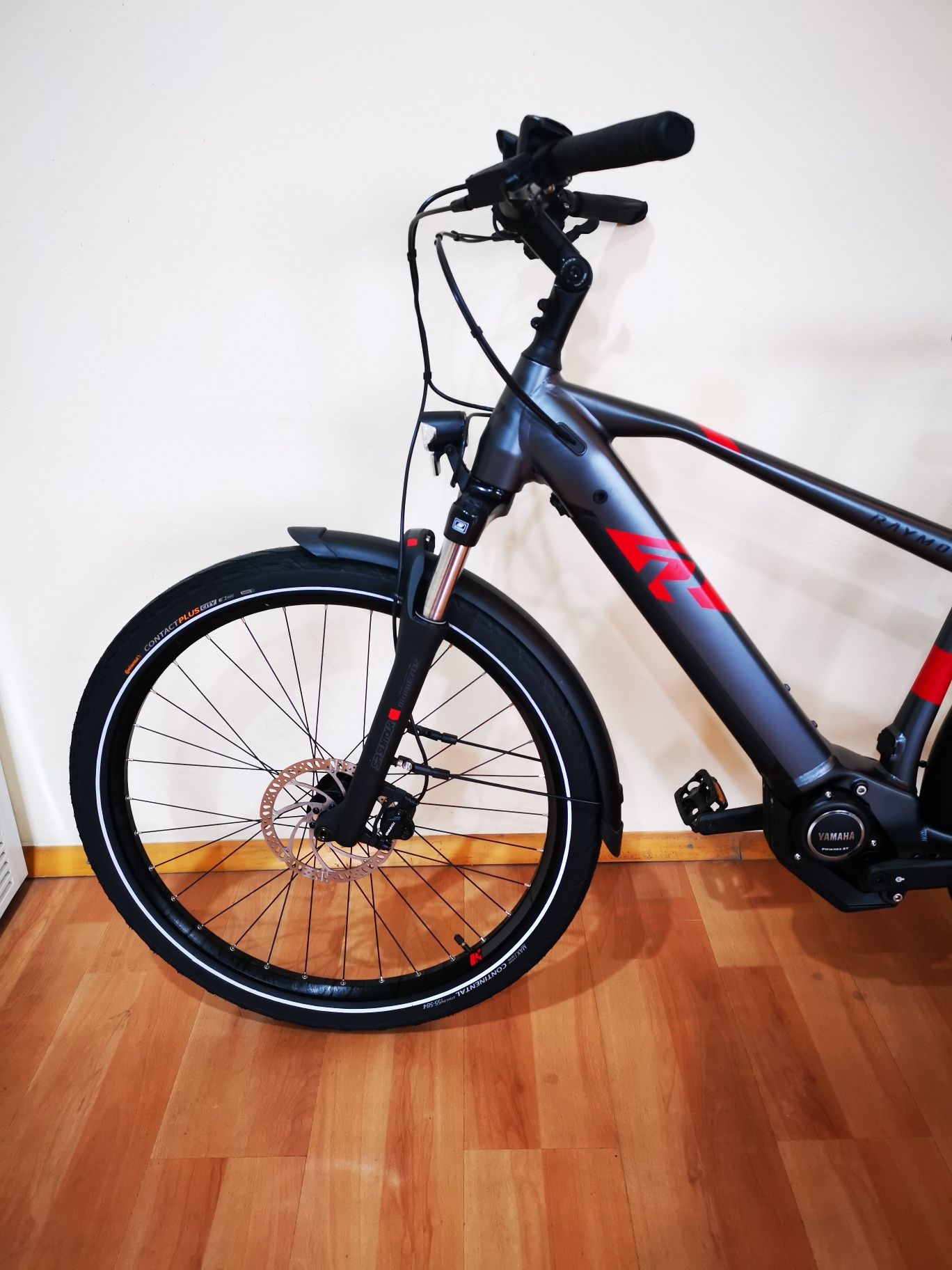 Bicicleta electrica Raymon Tourray 2021