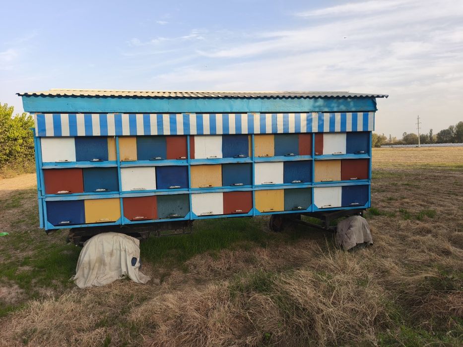 Asalari vagon sotiladi