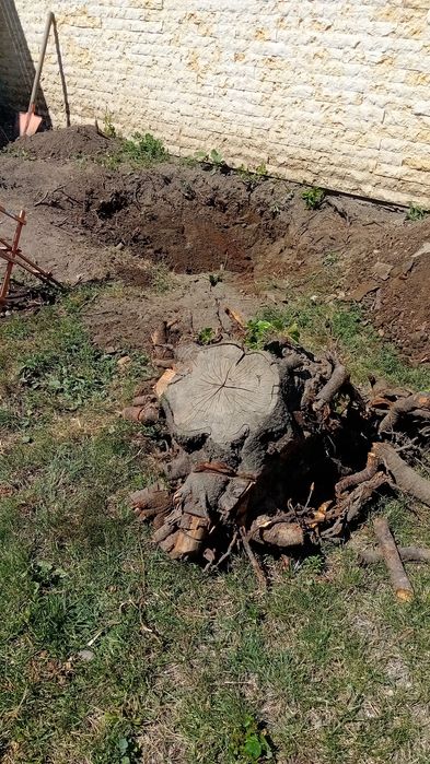 Lucrări de defrisari !!Taieri copaci ,curățam terenuri  BACAU