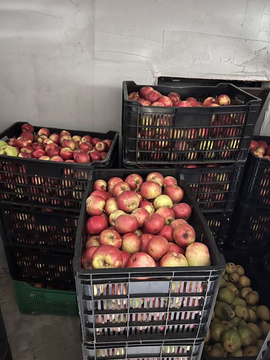 Mere de consum de vanzare