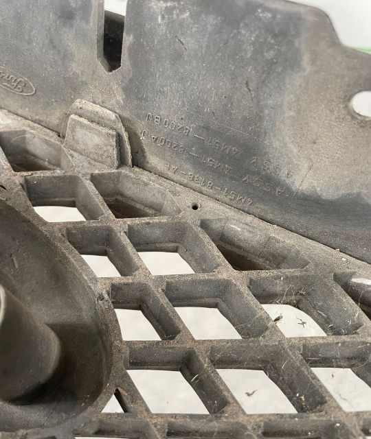 Grila radiator Ford Focus a 2-a generatie