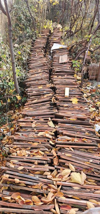 Vand tigla solzi de peste in conditie buna.1 leu bucata