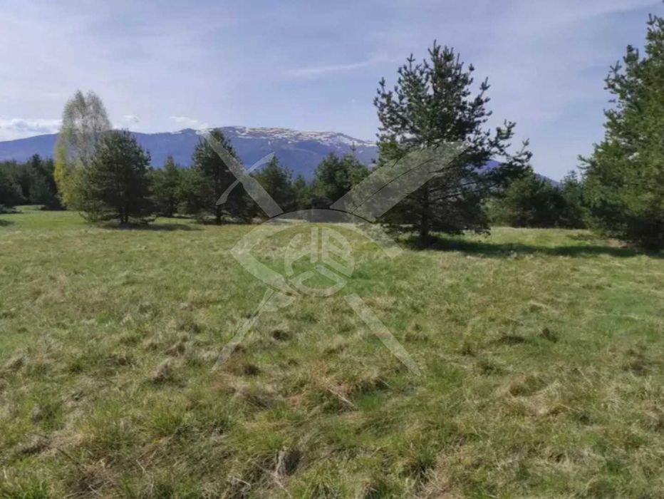 Парцел в село Плана № 89474