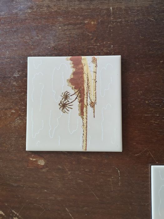 Фаянсови плочки за баня, 20х20 см