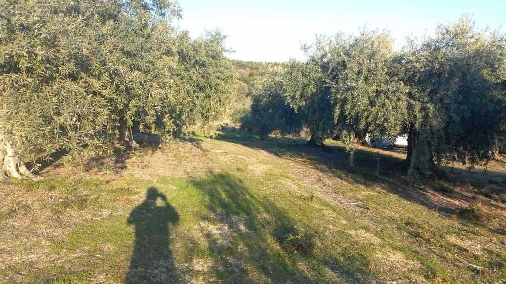 Място в Лутра 500кв.м. в регулация с ток и вода-35000 евро