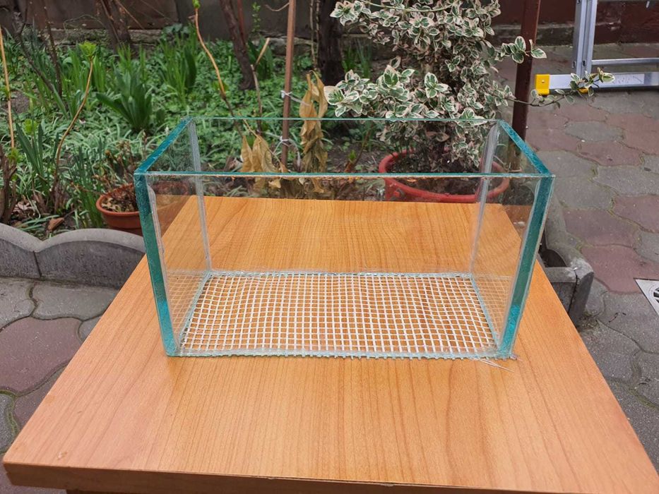 Acvariu mic si maternitate