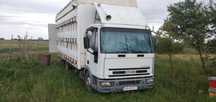 Camion apicol Iveco