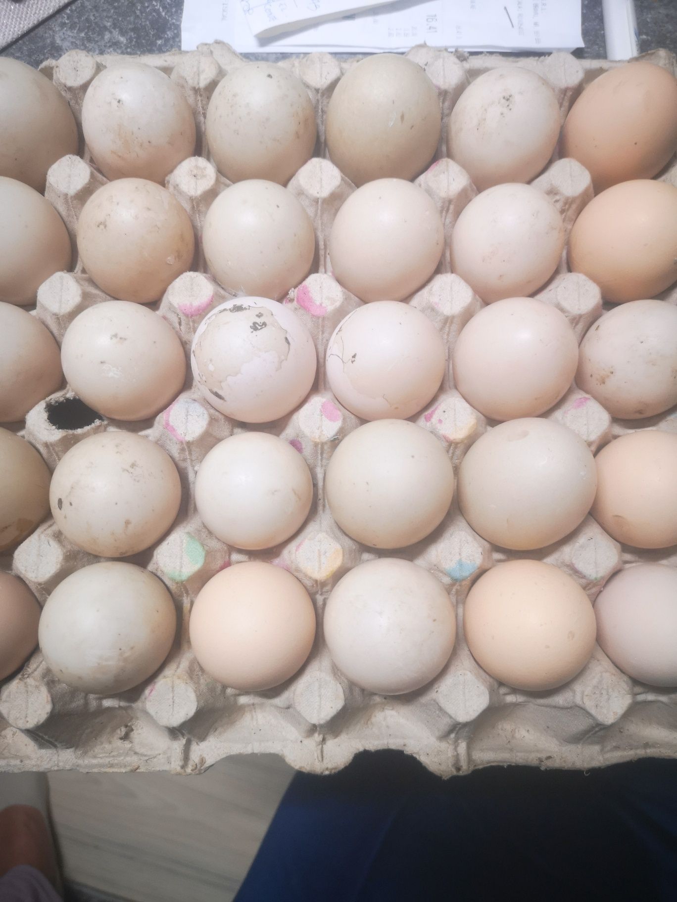 Ouă rață leseasca, ecologice, crescute natural, 2lei