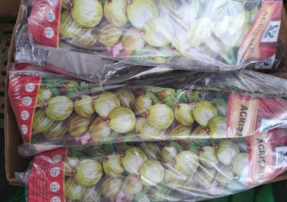 butasi de fructe de padure ambalati si etichetati