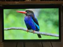Monitor Gaming 27 inch AOC 75Hz FullHD