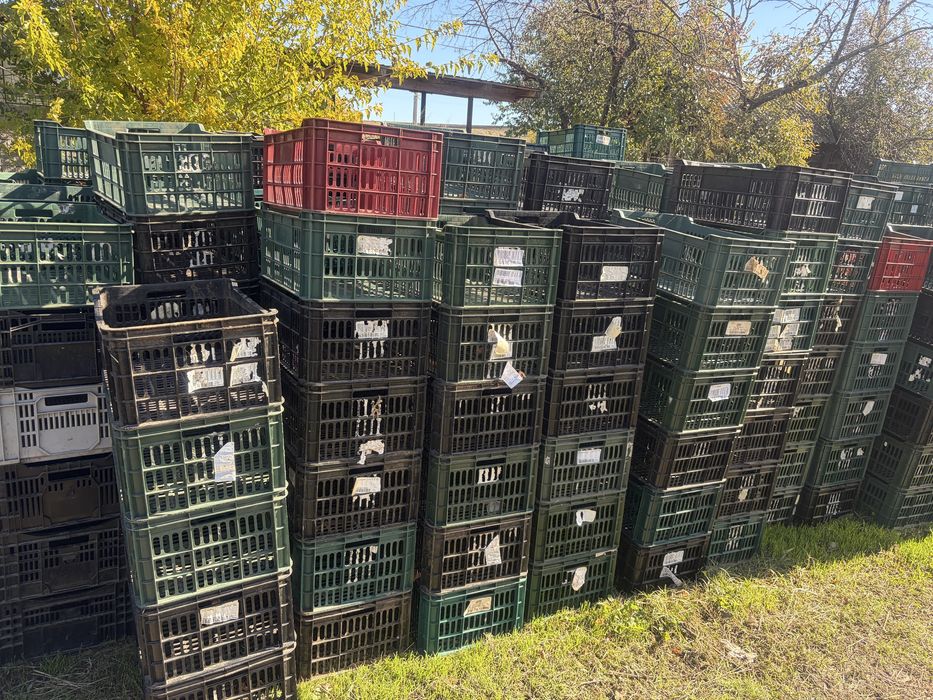 Lazi diferite marimu