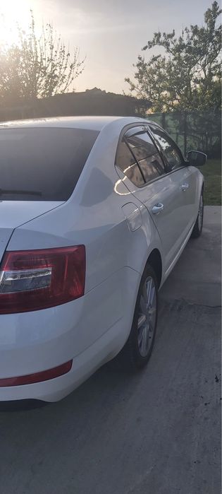 Vand Skoda Octavia