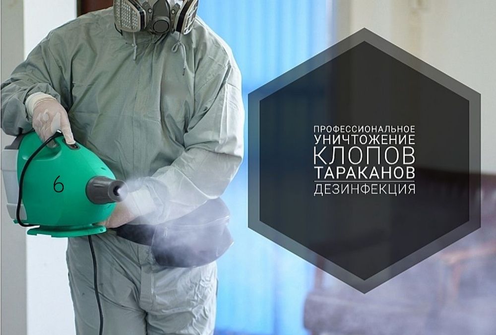 Профессиональная дезинфекция / клoпы / тapaкaны / муравьи / кандала